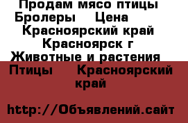 Продам мясо птицы “Бролеры“ › Цена ­ 300 - Красноярский край, Красноярск г. Животные и растения » Птицы   . Красноярский край